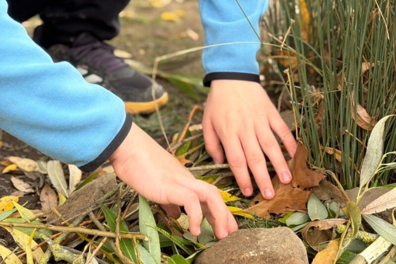 November 2025 – Mental Health First Aid