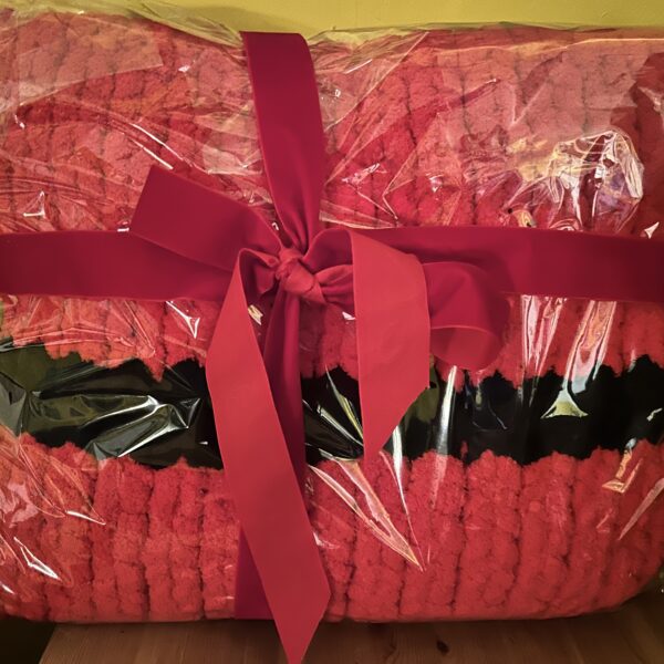 educational supportive services in derby