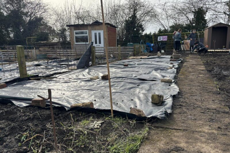 Half Term Break Allotment Clean Up